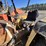1979-case-petromat-tractor-image-12
