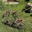 lawn-rake-image-4