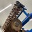 landoll-7831-25-image-49