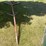 #2185-•-3-point-lifting-jib-image-2