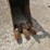 2017-wacker-neuson-et145-image-10