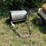2'-lawn-roller-image-2