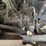 powerscreen-turbo-image-21