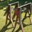 #2193-•-(2)-pairs-of-shop-made-saw-horses-image-3