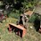 mtd-snowblower-image-3