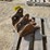 2011-wacker-neuson-1404-image-5