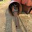 ditch-witch-350sx-image-14