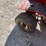 #2110-•-snapper-28"-rear-engine-lawn-mower-image-6