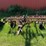 international-vibra-shank-image-2