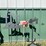 #2150-•-(3)-metal-yard-decorations-image-3