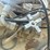 hewitt-robins-22x48-image-13
