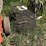 live-trap-image-2