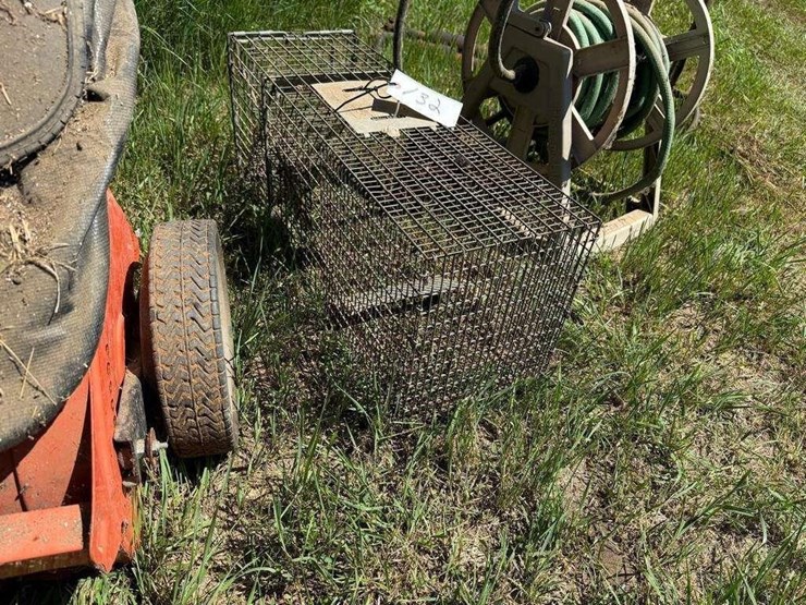 live-trap-image-2