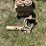 #2174-•-water-transfer-pump-with-spare-parts-image-3