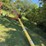 westfield-wr80-61-auger-image-4
