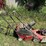 lawn-mower-&-snowblower-image-2