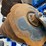 landoll-7831-25-image-48