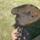 #2164-•-minneapolis-moline-tractor-seat-shop-stool-image-3