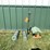 #2155-•-(3)-bird-feeders-image-3