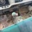 ford-f600-image-35