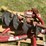 #2189-•-3-point-post-hole-logger-image-9