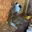 delta-miter-saw-image-2