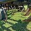case-ih-730b-ecolo-tiger-ripper-image-20