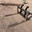 caterpillar-forks-image-1
