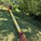 westfield-wr80-61-auger-image-3