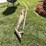 #2160-•-(3)-vintage-hand-tools-image-3