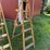 6'-wood-ladder-image-2