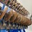 landoll-7831-25-image-41