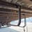 1986-great-dane-48-image-13