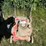 mtd-push-mower-image-2