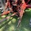 international-1086-image-9