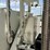 2009-international-workstar-7600-image-22