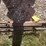 #2134-•-tractor-umbrella-frame-image-4