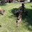 pull-behind-wood-splitter-image-3