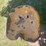 #2164-•-minneapolis-moline-tractor-seat-shop-stool-image-4