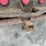 2000-caterpillar-c12-image-24
