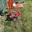 #2151-•-various-metal-yard-decorations-image-5