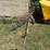 lawn-rake-image-3