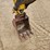 yanmar-vio35-image-12