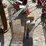 #2131-•-(2)-live-animal-traps-image-2