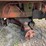 ditch-witch-350sx-image-27