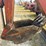 ditch-witch-rt40-image-9