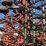 case-ih-200-image-4