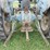 ford-3000-image-7