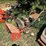 mtd-snowblower-image-2