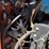 2007-ditch-witch-fx60-image-49